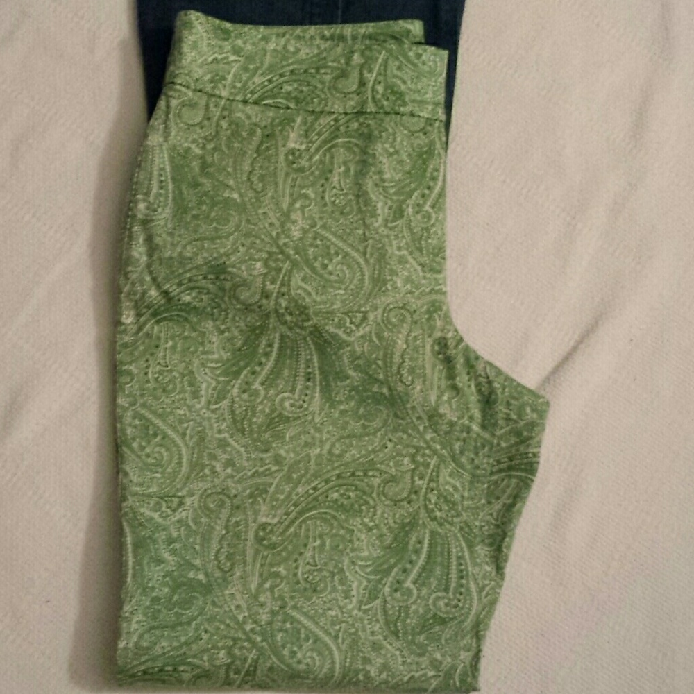 SALE. Talbot Green Paisley Curvy Size 12